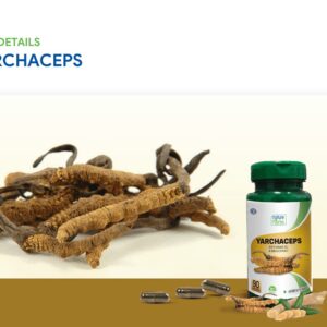 Yarchaceps